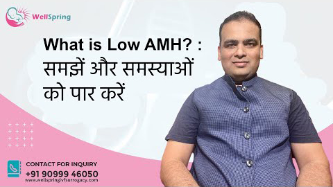 What is Low AMH (Anti Mullerian Hormone)?