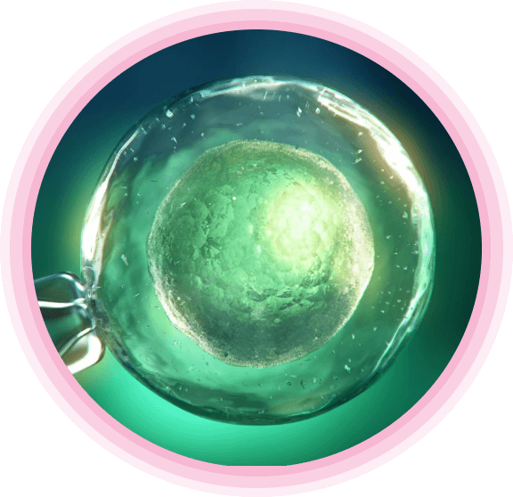why-do-your-need-ivf-treatment